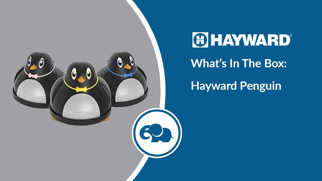 Hayward’s Penguin Suction Side Above Ground Pool Cleaner - What's In The Box!