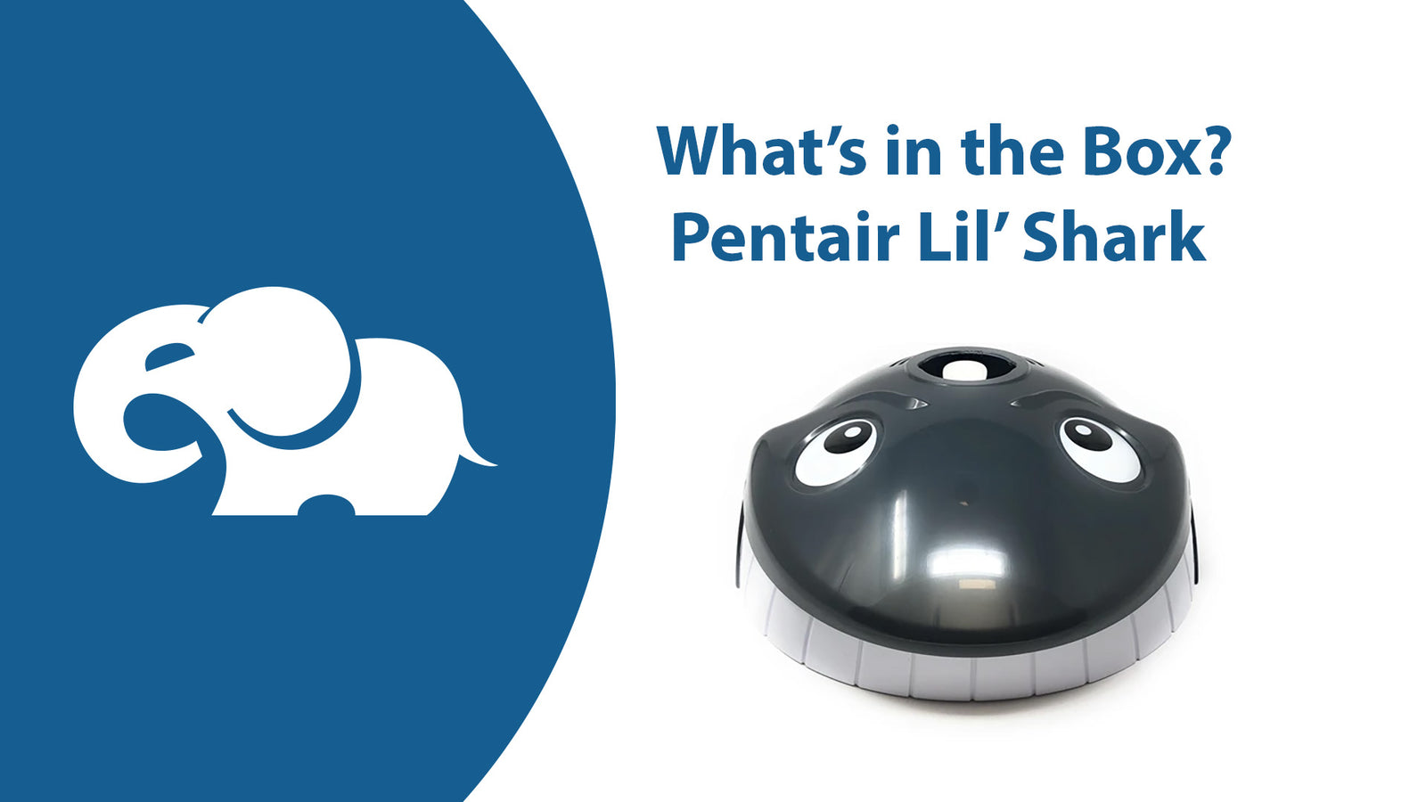 Pentair Lil Shark above ground pool cleaner