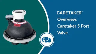 Caretaker 5 Port Valves