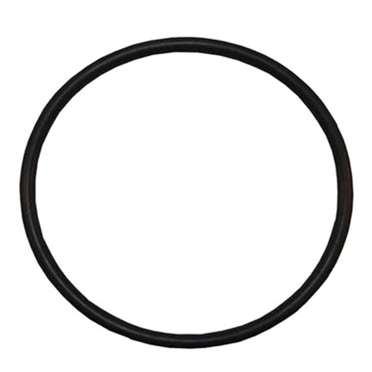 Pentair O-Ring 158mm x 4mm NBR 70A | 152517