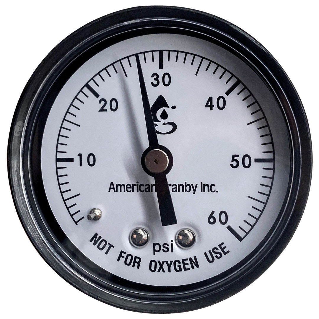 Style 2 System Pressure Test Kit - Pentair In-Floor(A&A) || 230040