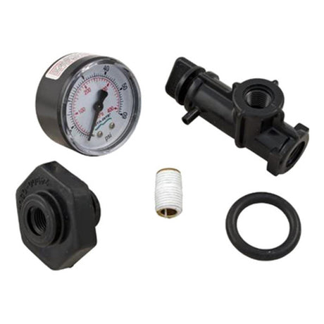 Pentair Valve & Gauge Assembly | 24850-0105