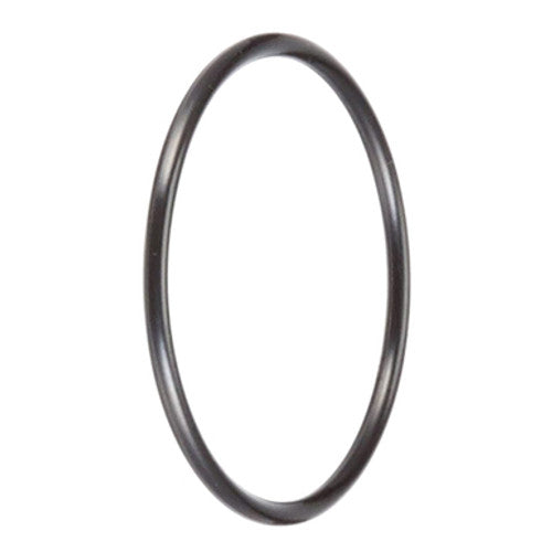 Pentair O-Ring .139 X 2.109 | 35505-1428Z