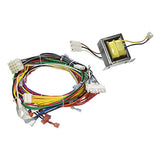 Pentair Domestic Wire Harness with FC Assembly | 461107