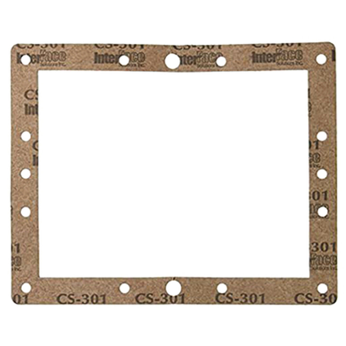 Pentair GASKET FRONT | 81111800