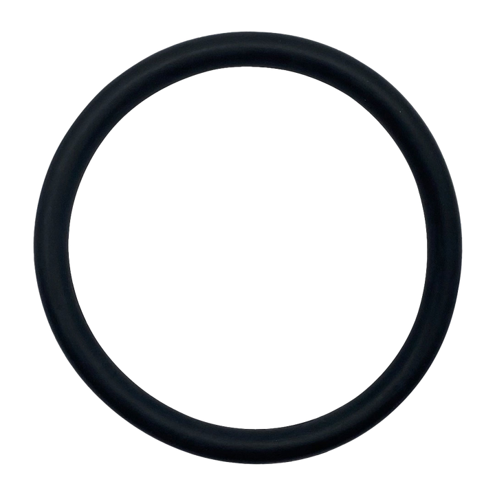 Pentair Upper and Lower Bulkhead O-Ring | 86006900