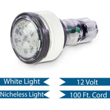 Pentair MicroBrite White LED Light 100' ||  EC-620429