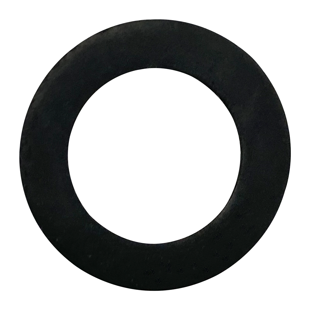 Astral (00612R0001) Filter Gasket || G-84-Bagged