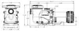 Hayward MaxFlo XE 1.65HP | W3SP2310X15XE