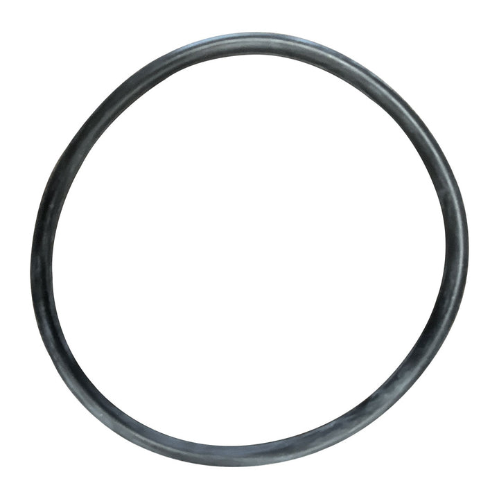 Anthony 4" Pump Lid O-Ring || O-14-BAGGED