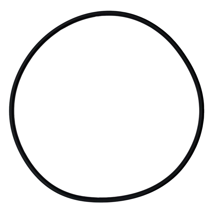 Hayward (SPX1082Z5B) Pump Housing O-Ring || O-228-BAGGED