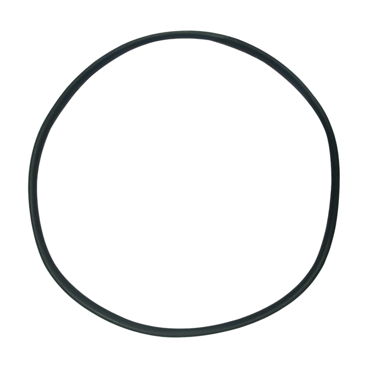 Hayward (SPX4000T) Seal Plate O-Ring NorthStar || O-239-BAGGED