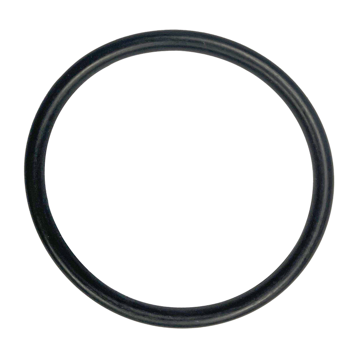 Hayward (SX360Z1) Micro Clear & Pro Series Bulkhead O-Ring || O-246-BAGGED