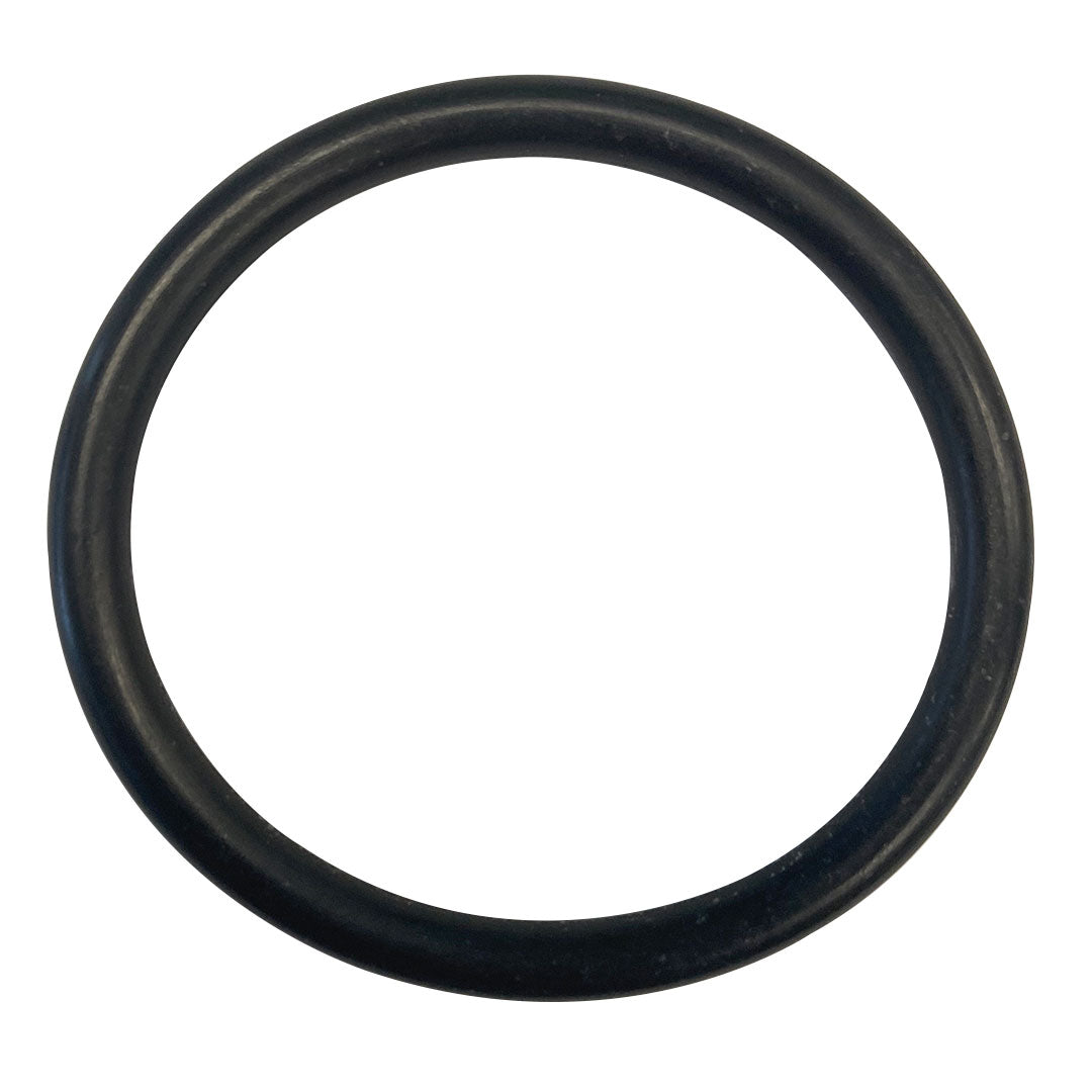 Anthony/Kim Rear Seal O-Ring || O-4