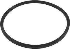 Jandy JS Series Sand Filter Lid Seal || R0487400