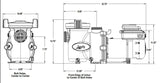 Jandy VS FloPro 1.85HP Pump, 115/230V | VSFHP185DV