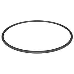 Hayward FILTER HEAD O-RING | Part CX900F