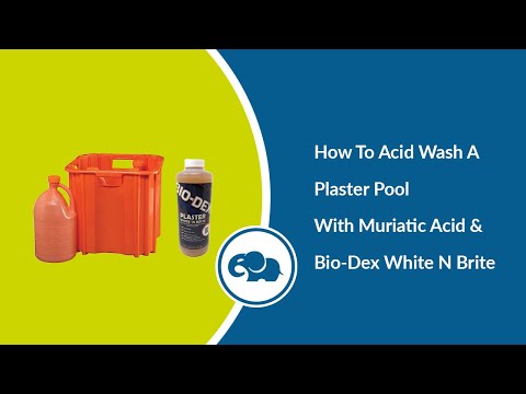 Bio-Dex Laboratories Plaster White 'n Brite (32 Oz.) | PWB32