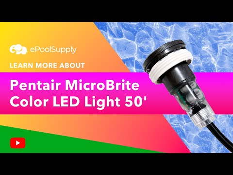 Pentair MicroBrite Color LED Light 50' | 620424