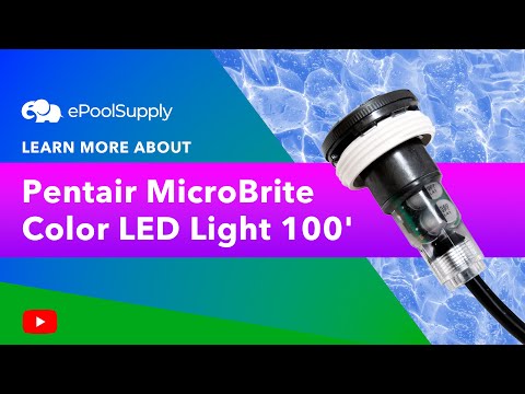 Pentair MicroBrite Color LED Light 100' | 620425