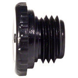 Pentair Plug Access 1/4" MPT | R172392