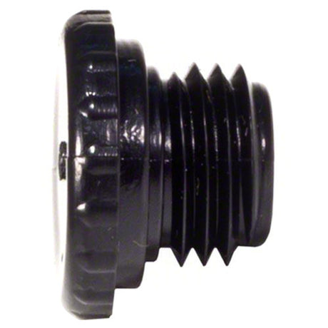 Pentair Plug Access 1/4" MPT | R172392