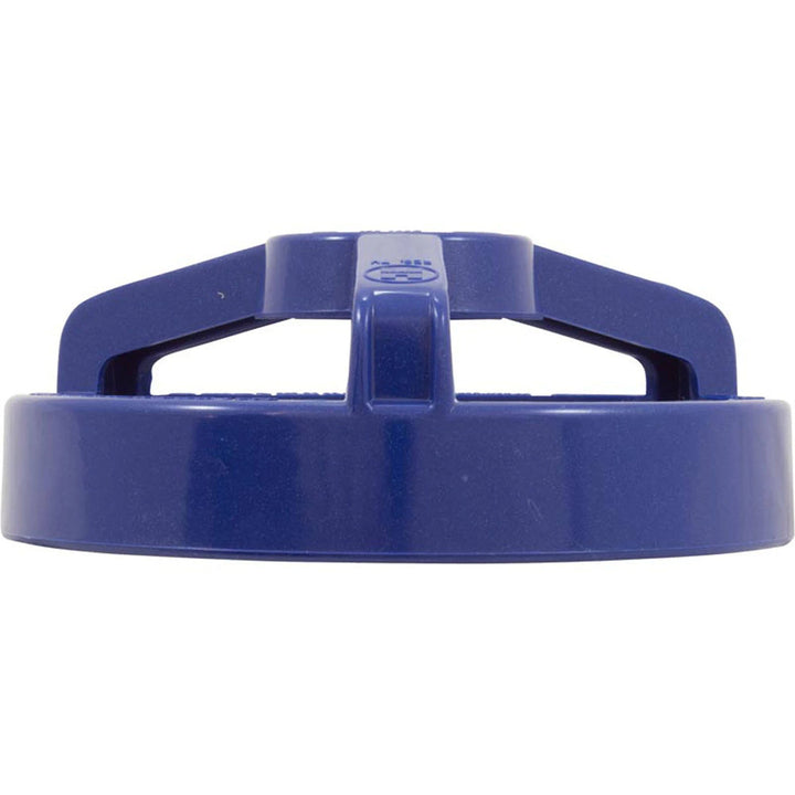 Hayward Leaf Canister Lock Ring (Blue) | AXW532BL