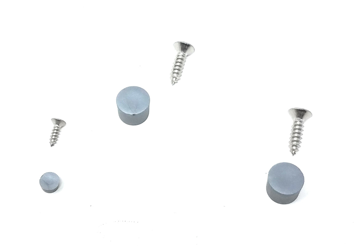 Hayward DV5000/KingRay Body Set Screws & Plugs | DCX344