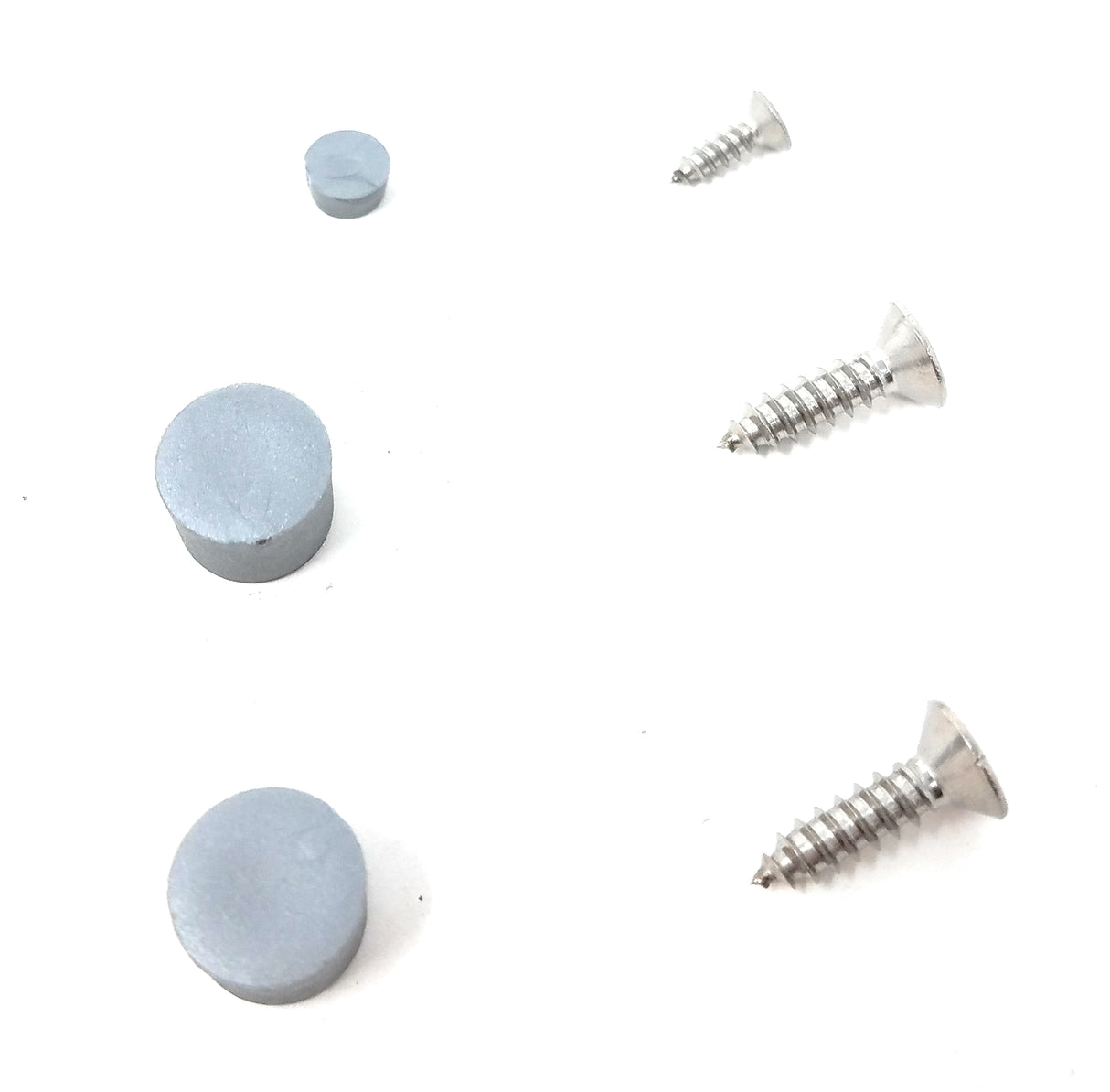 Hayward DV5000/KingRay Body Set Screws & Plugs | DCX344