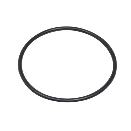 Top View of Pentair Lid O-Ring for Pentair Whisperflo, Challenger, IntelliFlo - ePoolSupply