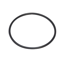 Pentair Diffuser O-Ring || 355331