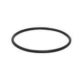 Pentair Diffuser O-Ring || 355331