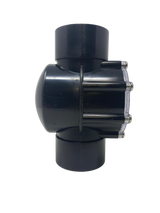 Pentair 2" Check Valve | 263042