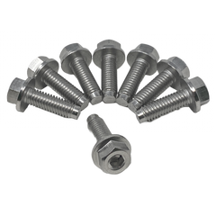 Pentair Seal Plate-to-Strainer Pot Bolts (8 Pack) || 074164Z