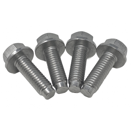 Pentair Motor Bolts (4 Pack)