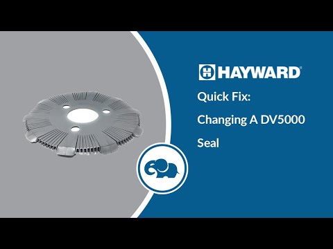 Hayward DV5000 Disc | DCX152SV