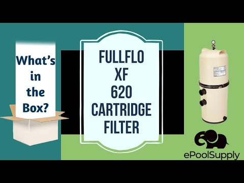 Pentair FullFloXF 620 Cartridge | 160448